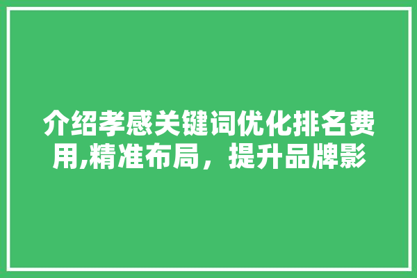 介绍孝感关键词优化排名费用,精准布局，提升品牌影响力