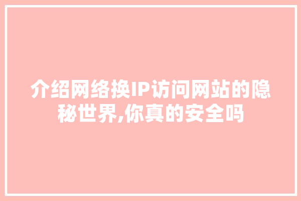 介绍网络换IP访问网站的隐秘世界,你真的安全吗