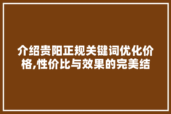 介绍贵阳正规关键词优化价格,性价比与效果的完美结合