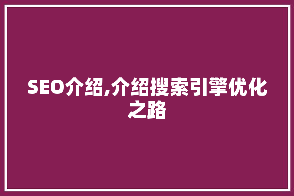 SEO介绍,介绍搜索引擎优化之路