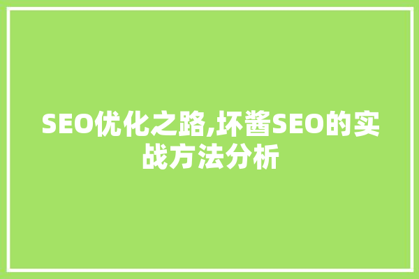 SEO优化之路,坏酱SEO的实战方法分析