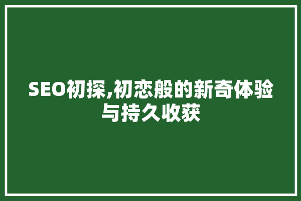 SEO初探,初恋般的新奇体验与持久收获 AI快讯