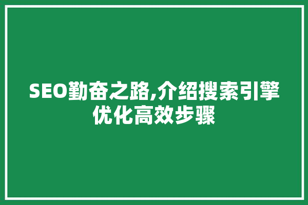 SEO勤奋之路,介绍搜索引擎优化高效步骤 云服务