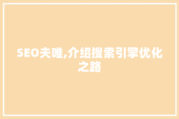 SEO夫唯,介绍搜索引擎优化之路