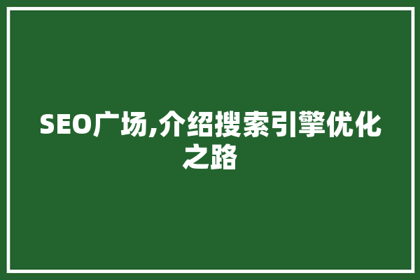 SEO广场,介绍搜索引擎优化之路 AI简讯