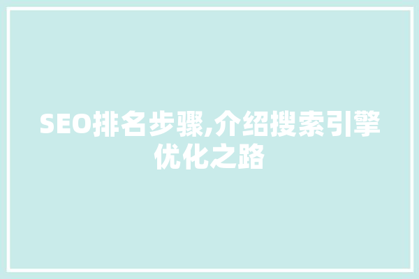SEO排名步骤,介绍搜索引擎优化之路