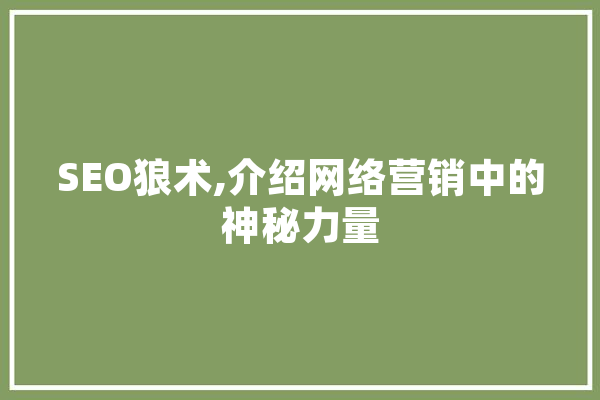 SEO狼术,介绍网络营销中的神秘力量 计算机