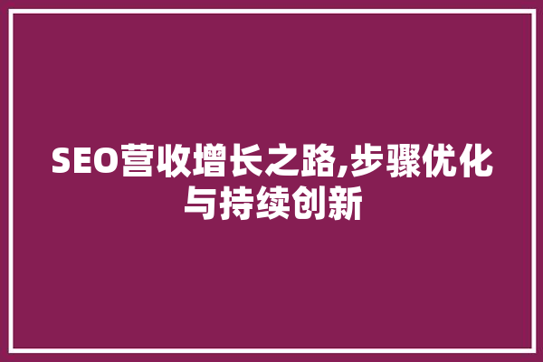 SEO营收增长之路,步骤优化与持续创新