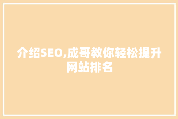 介绍SEO,成哥教你轻松提升网站排名