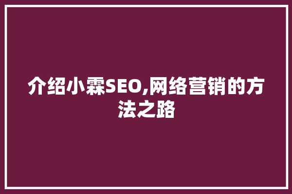 介绍小霖SEO,网络营销的方法之路