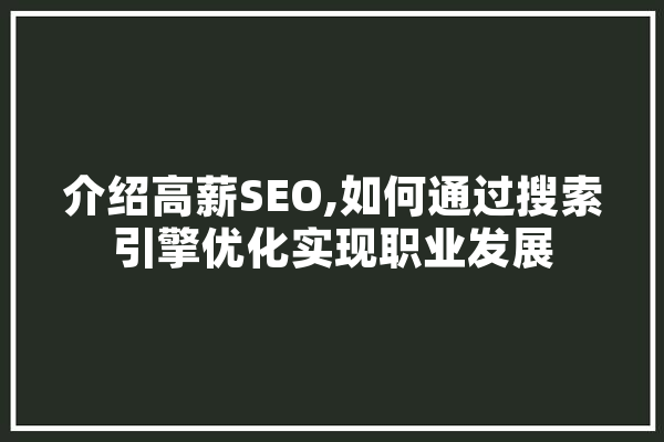 介绍高薪SEO,如何通过搜索引擎优化实现职业发展