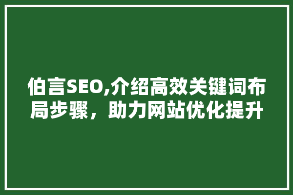 伯言SEO,介绍高效关键词布局步骤，助力网站优化提升