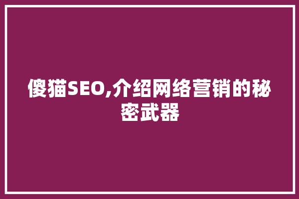傻猫SEO,介绍网络营销的秘密武器