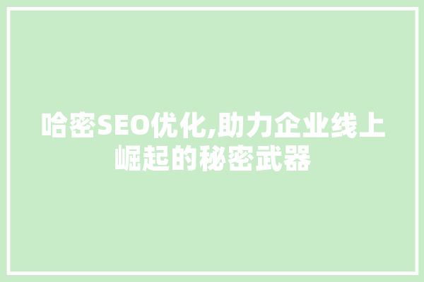 哈密SEO优化,助力企业线上崛起的秘密武器
