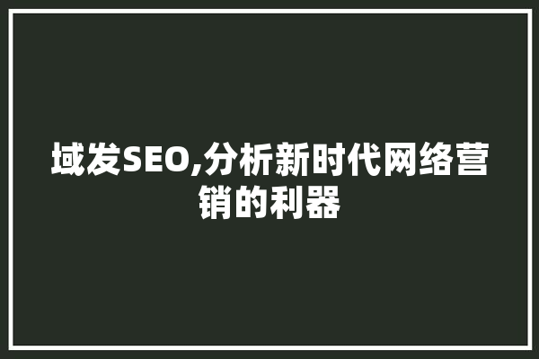域发SEO,分析新时代网络营销的利器 AI简讯
