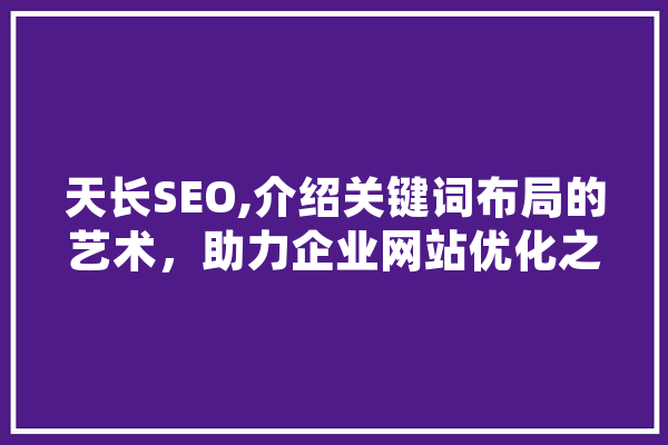 天长SEO,介绍关键词布局的艺术，助力企业网站优化之路
