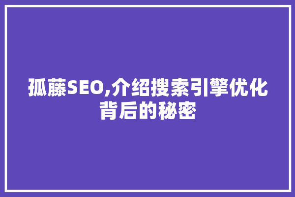 孤藤SEO,介绍搜索引擎优化背后的秘密