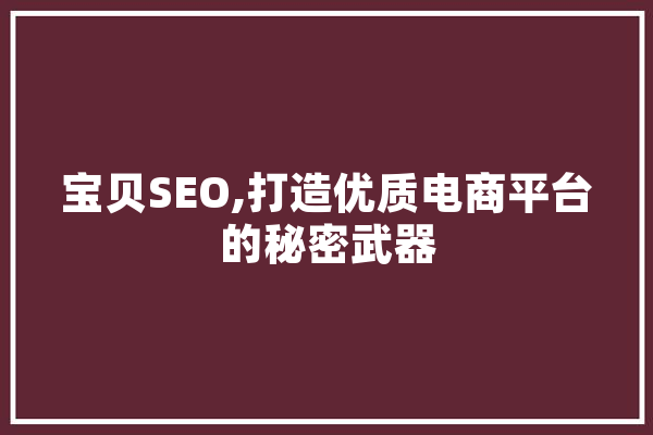 宝贝SEO,打造优质电商平台的秘密武器