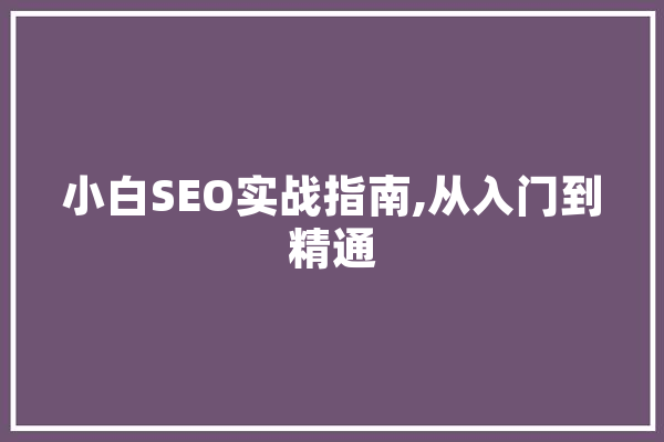 小白SEO实战指南,从入门到精通