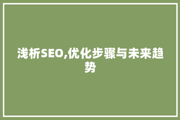 浅析SEO,优化步骤与未来趋势 文字写作