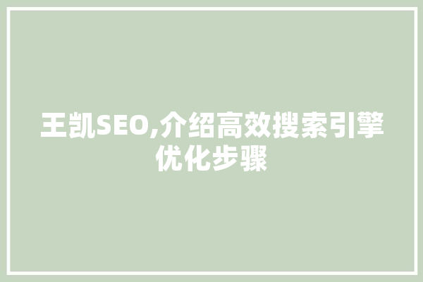 王凯SEO,介绍高效搜索引擎优化步骤