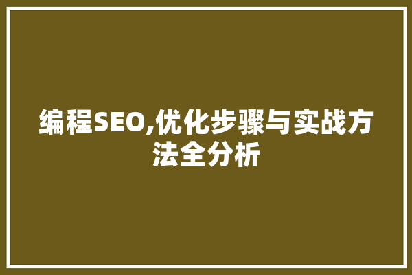 编程SEO,优化步骤与实战方法全分析 文字写作