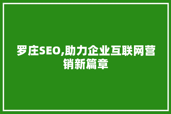 罗庄SEO,助力企业互联网营销新篇章 计算机