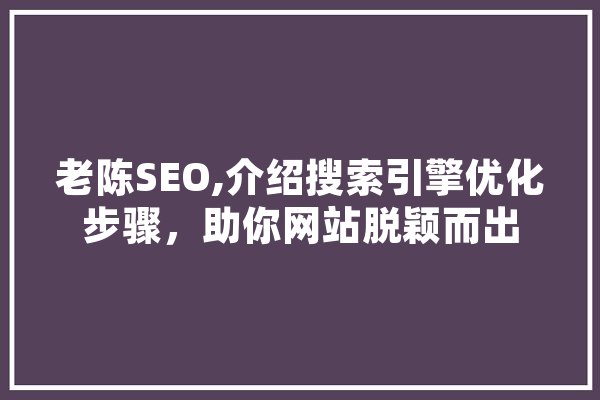 老陈SEO,介绍搜索引擎优化步骤，助你网站脱颖而出 云服务