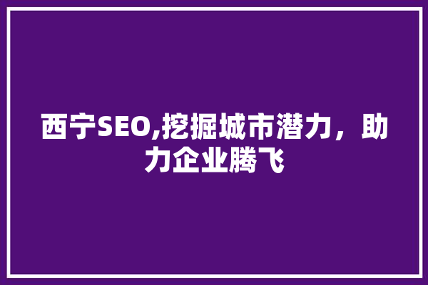 西宁SEO,挖掘城市潜力，助力企业腾飞