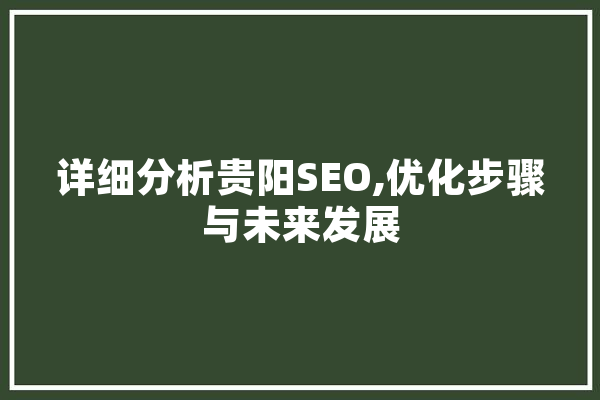 详细分析贵阳SEO,优化步骤与未来发展
