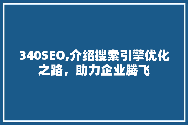 340SEO,介绍搜索引擎优化之路，助力企业腾飞
