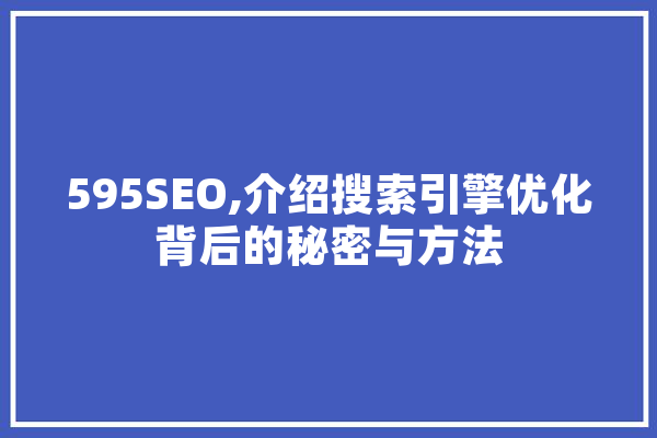595SEO,介绍搜索引擎优化背后的秘密与方法 文字写作