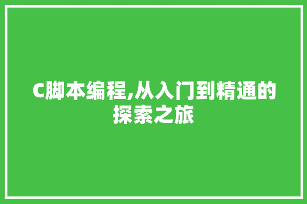 C脚本编程,从入门到精通的探索之旅