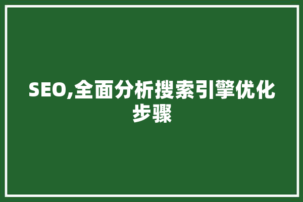 SEO,全面分析搜索引擎优化步骤
