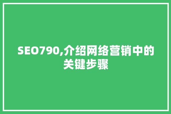SEO790,介绍网络营销中的关键步骤 智能问答