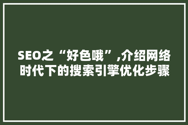 SEO之“好色哦”,介绍网络时代下的搜索引擎优化步骤 云服务