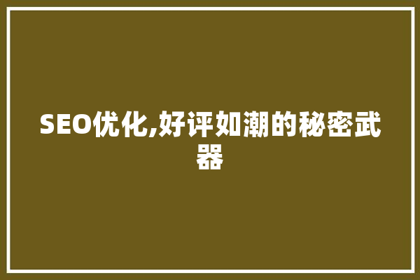 SEO优化,好评如潮的秘密武器 智能助手