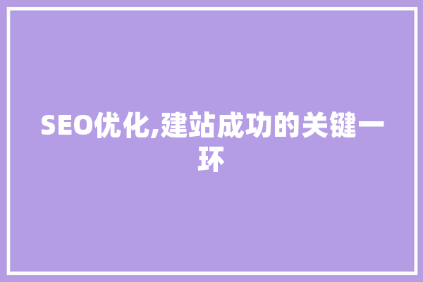 SEO优化,建站成功的关键一环 文字写作