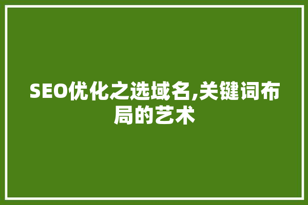 SEO优化之选域名,关键词布局的艺术
