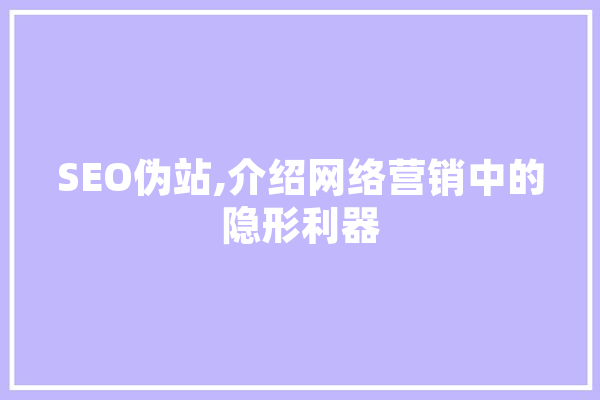 SEO伪站,介绍网络营销中的隐形利器