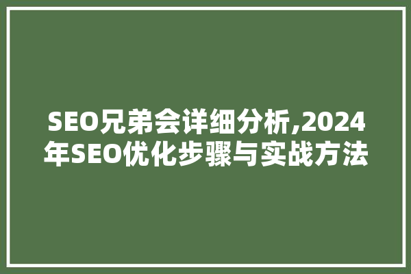 SEO兄弟会详细分析,2024年SEO优化步骤与实战方法