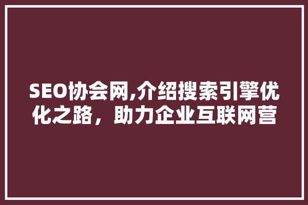 SEO协会网,介绍搜索引擎优化之路，助力企业互联网营销