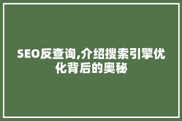 SEO反查询,介绍搜索引擎优化背后的奥秘