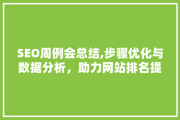 SEO周例会总结,步骤优化与数据分析，助力网站排名提升