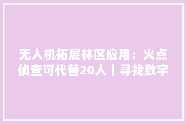无人机拓展林区应用：火点侦查可代替20人｜寻找数字化标杆_无人机_林业局 绘影字幕