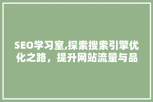 SEO学习室,探索搜索引擎优化之路，提升网站流量与品牌影响力