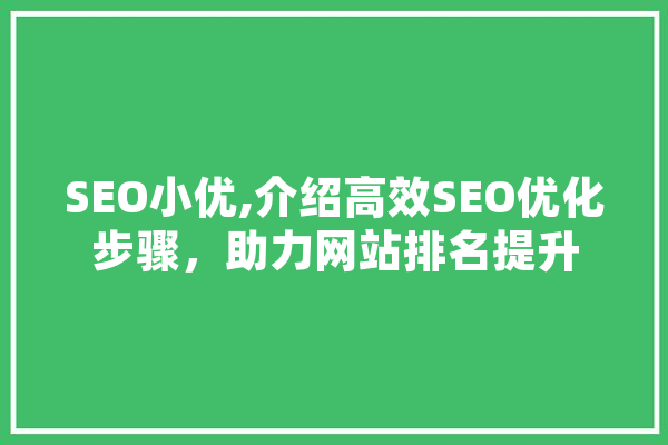 SEO小优,介绍高效SEO优化步骤，助力网站排名提升 科技快讯