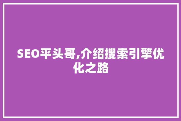SEO平头哥,介绍搜索引擎优化之路