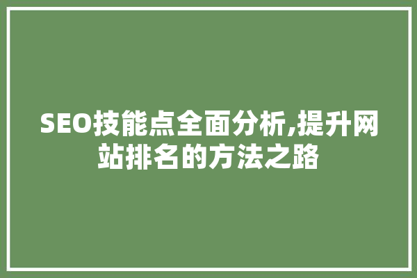 SEO技能点全面分析,提升网站排名的方法之路