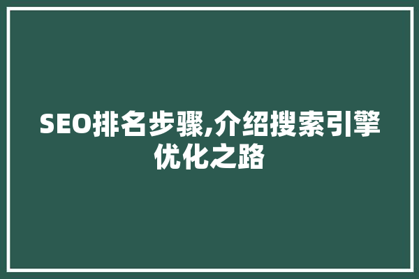 SEO排名步骤,介绍搜索引擎优化之路 计算机